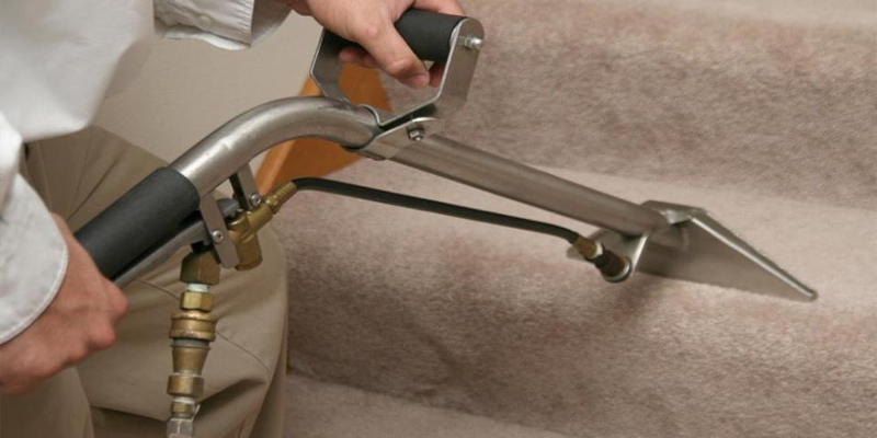 Carpet Cleaning Companies in Raleigh, North Carolina