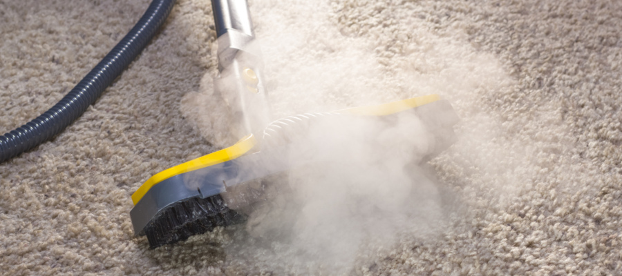 We are intent on offering you the best carpet cleaning deals