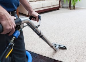 Carpet Cleaning in Holly Springs, North Carolina