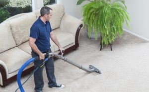 Professional Carpet Cleaning vs. DIY