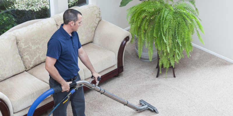 Professional Carpet Cleaning vs. DIY