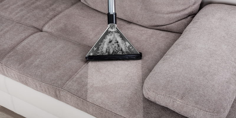 4 Reasons You Should Trust Us For Your Furniture Cleaning