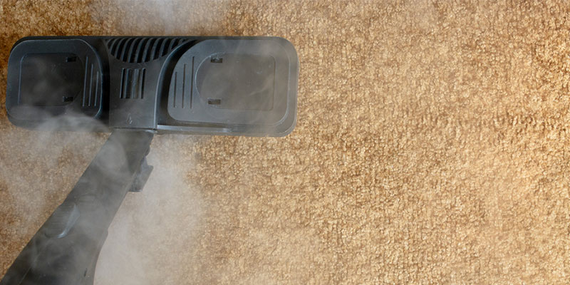 Steam Cleaner: The How and The Why