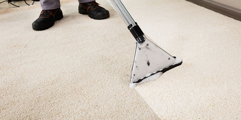 How Often Should You Get Professional Carpet Cleaning?