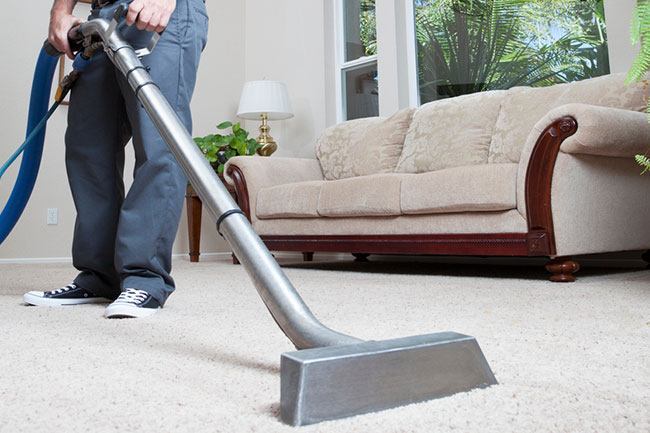 Four Things to Look for in Carpet Cleaning Companies