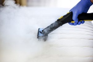 Steam Cleaning: A Safe, Natural Alternative to Chemical-Based Cleaners