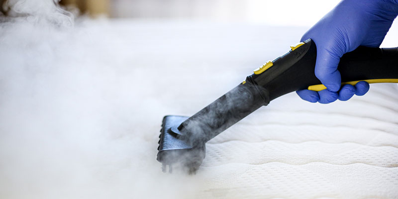 Steam Cleaning: A Safe, Natural Alternative to Chemical-Based Cleaners
