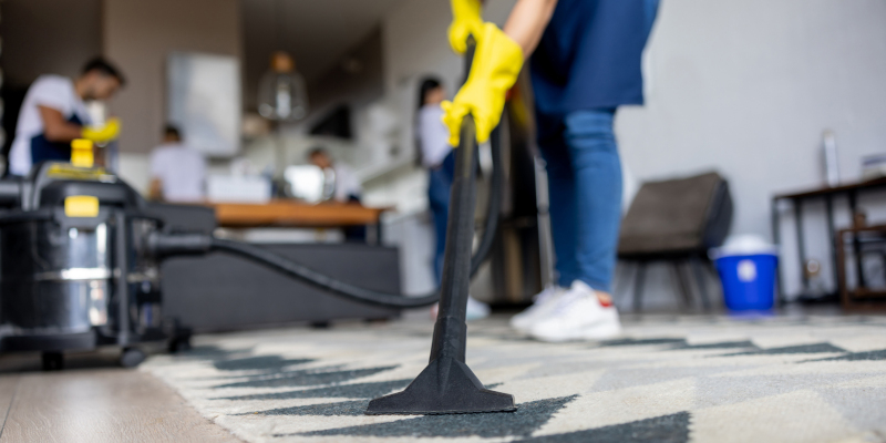 What Do Carpet Cleaning Companies Have to Offer You?