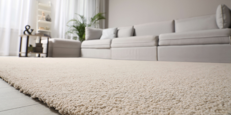 Residential Carpet Cleaning Helps Restore Comfort to Your Home